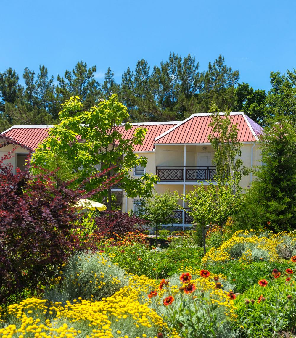 Гостиница алатырь бетта краснодарский край. Бетта отели на берегу. Бетта краснодарский край отель. Хутор бетта мини гостиница лазурь. Бетта отель гудвин.