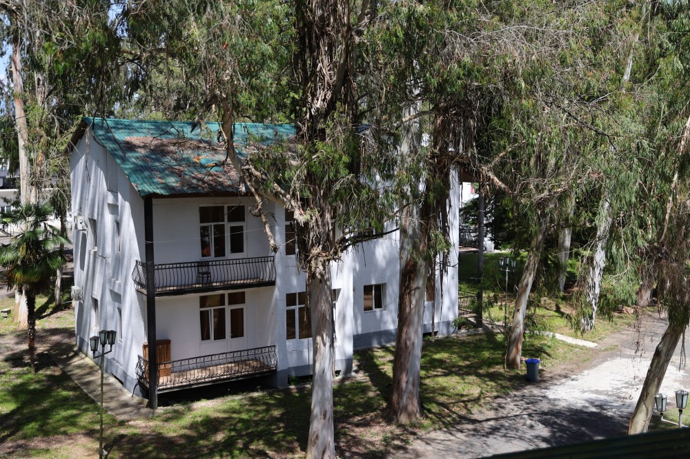 Отель ЭВКАЛИПТОВАЯ РОЩА,отель эконом -*, Кындыг / Kyndyg Абхазия: цены ...