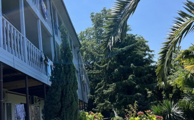 Арго, пансионат эконом -*