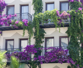Golden Age Bodrum