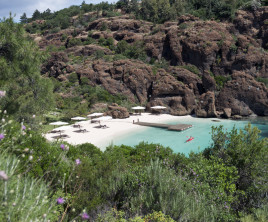 D Maris Bay