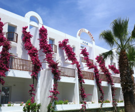 Natur Garden Hotel