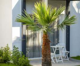 Charm Beach Hotel
