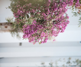 Arin Resort Bodrum