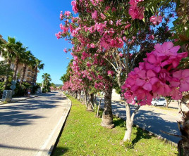 Istanbul Beach Hotel