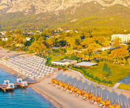 Juju Premier Palace