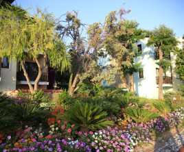 Gypsophila Holiday Village
