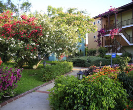 Gypsophila Holiday Village