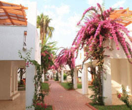 Club Kastalia Holiday Village