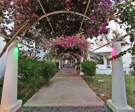 Bendis Beach Hotel