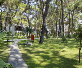 Seven Seas Hotel Life