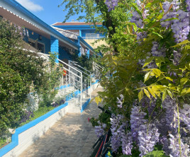 Side Temple Hotel