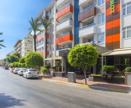 Lonicera City Kleopatra
