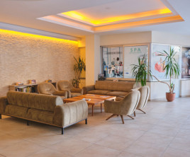 Cats Garden Hotel