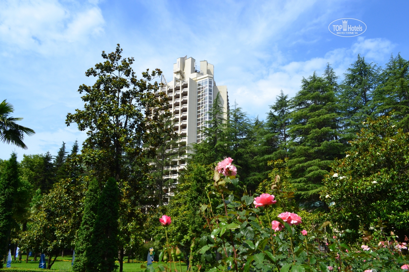 алеан спутник сочи. отель алеан спутник сочи. сочи отель алеан фэмили спутник. алеан спутник сайт. алеан спутник сочи.