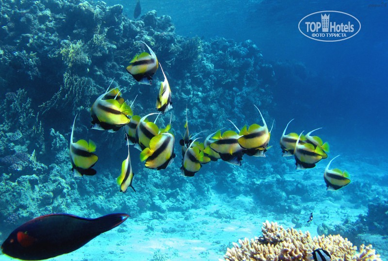 Unknown authorName 23 августа 2013: отзыв в интернете об отелеCONTINENTAL GARDEN