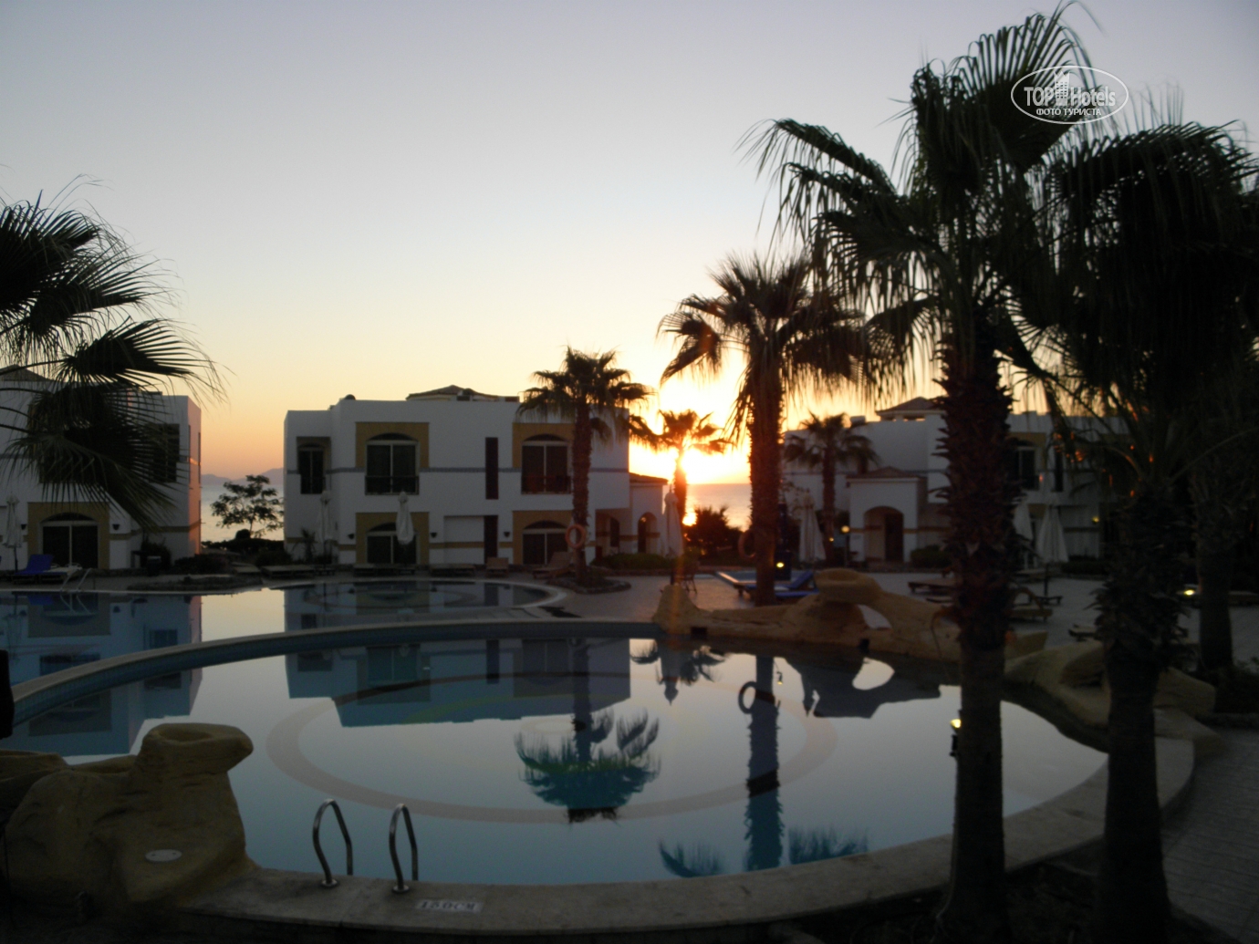 отель алоха египет шарм эль. отель шорес алоха египет. Amphoras blu hotel) 4*. шарм-эль-шейх алоха 4. Amphoras blu hotel) 4*.