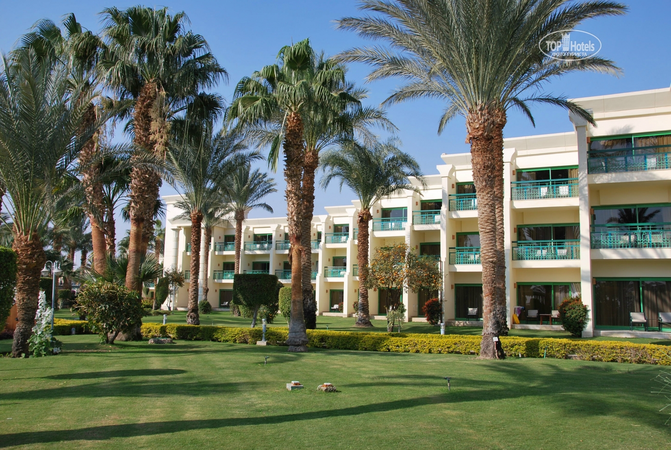 Отель в египте хилтон резорт